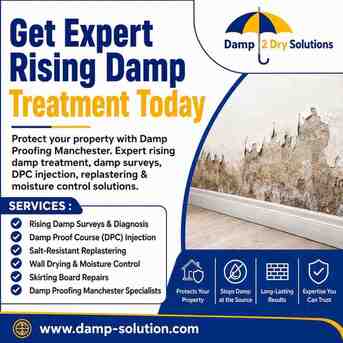 London, Household, Affordable Rising Damp Treatment Solutions