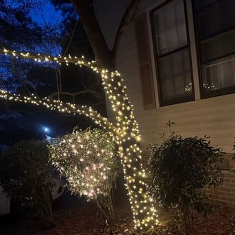 New York, Household, Residential Lighting Fixtures To Transform Your Home