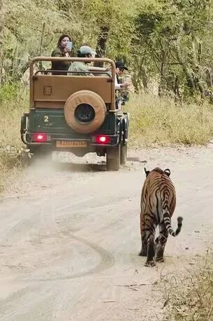 Jaipur, Travel, Ranawat Cab Jaipur | Local & Outstation Taxi Service