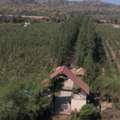 Tax Benefits Of Owning Agricultural Land Near Nagpur