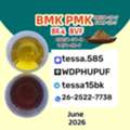 CNY 50,  CAS 5449-12-7oil BMK Glycidic Acid Sodium Salt 99% High Purity Powder Technical Chemical M