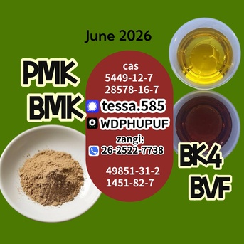 Hong Kong, Materials, CNY 50,  CAS 5449-12-7oil BMK Glycidic Acid Sodium Salt 99% High Purity Powder Technical Chemical M