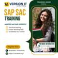 Use The Data Gives You Control With Version IT &ndash; The Most Reliable SAP Analytics Cloud Tra