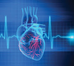Abu Dhabi, Health, Bone Care One Day Surgery Center &ndash; Cardiac Device Specialist Abu Dhabi