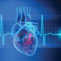 Bone Care One Day Surgery Center – Cardiac Device Specialist Abu Dhabi
