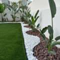 SAR 35,  Flowers,Indoor&Outdoor Plants Are Available In Riyadh With Delivery-0551298565