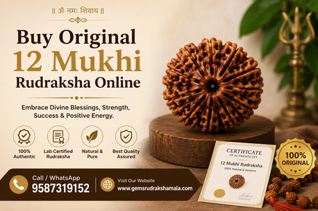 Jaipur, Health, Buy Original 12 Mukhi Rudraksha Online