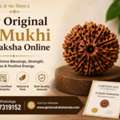 Buy Original 12 Mukhi Rudraksha Online