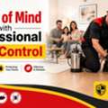 Quality Pest Control Service In Croydon