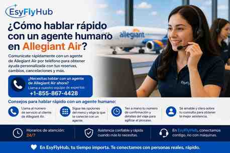 New York, Travel, ¿Cómo Hablar Rápido Con Un Agente Humano En Allegiant Air?