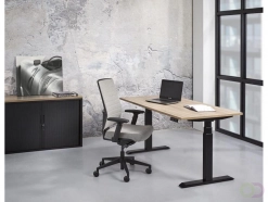 The Hague, Industrial Machinery, EUR 100,  Waar Moet Je Op Letten Bij Het Kopen Van Een Zit Sta Bureau?