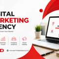 Digital Marketing In Patiala: Turning Local Businesses Into Regional Powerhouses