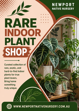 Melbourne, Farm & Garden, Rare Indoor Plant Shop &ndash; Exotic Plants For Every Space