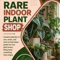 Rare Indoor Plant Shop &ndash; Exotic Plants For Every Space