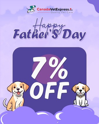 New York, Pet Supplies, Father