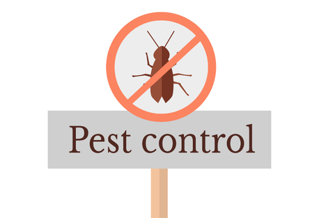 Dubai, Pest Control, How Al Falak Delivers Reliable Pest Control Services In Dubai