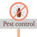 How Al Falak Delivers Reliable Pest Control Services In Dubai