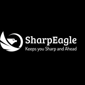 Abu Dhabi, Electrical & Plumbing, AED 500,  SharpEagle Overhead Crane Light | Industrial Crane Safety Warning Light