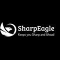 AED 500,  SharpEagle Overhead Crane Light | Industrial Crane Safety Warning Light