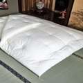 Authentic Queen Futon Mattress Crafted In Japan