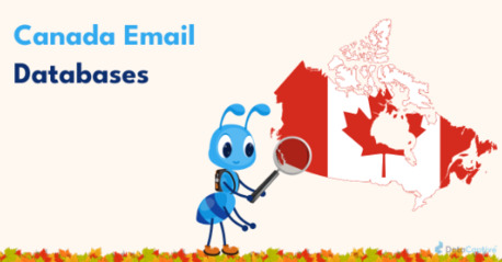 Toronto, Business, Expand Beyond Borders: Scale Your Canadian Enterprise With A Premium Canada Email Database
