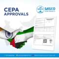Customs Clearance Experts-Sasco Global Shipping