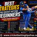 Beginner-Friendly Cricket Betting Guide And Expert Insights
