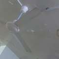 SAR 70,  Ceiling Fan