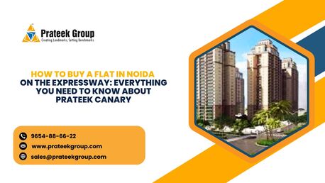 Lucknow, Real Estate, How To Buy A Flat In Noida On The Expressway: Everything You Need To Know About Prateek Ca