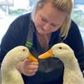 Enhance Child's Development With Child Care Centre Harrisdale's Specialist Programs