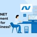 Best Outsource Asp Dot Net Developer India