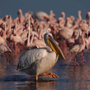 Auckland, Photography, Photogear