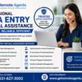 Professional Data Entry Virtual Assistance Services In USA | Get Remote Agents