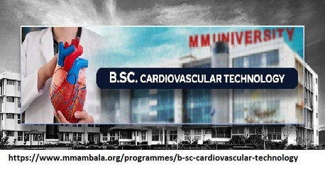 Mumbai, Education, Bsc Cardiovascular Technology Details