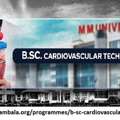 Bsc Cardiovascular Technology Details