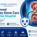 Expert Kidney Stone Treatment At Avise Hospital