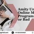 Amity University Online MA Program: Good Or Bad