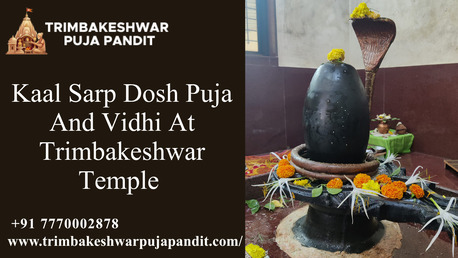 Mumbai, Career Counseling, Kaal Sarp Dosh Puja And Vidhi At Trimbakeshwar Temple