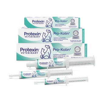 Sydney, Pet Sitting, Support Healthy Digestion With Pro-Kolin For Dogs