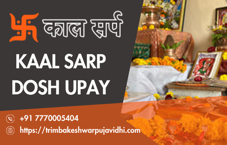 Mumbai, Business, Kaal Sarp Dosh Upay And Kaal Sarp Puja Guidance In Trimbakeshwar
