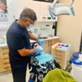 Family Dentist Ballarat | My Dentist Ballarat