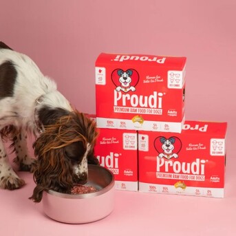 Brisbane, Pet Supplies, Natural Nutrition With Raw Food Diet For Dogs