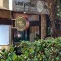 Trusted Infertility Specialist In Bangalore For Personalized Treatment | Kalpa Clinic