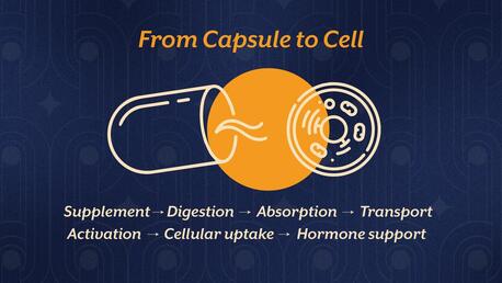 Pune, Guest Posting, Your Thyroid Needs More Than Iodine &mdash; Discover The Full Support System