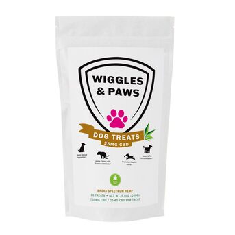 Miami, Health, CBD For Dogs