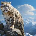 Spiti Valley Snow Leopard Tours | Track The Ghost Of The Himalayas