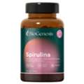 Premium Spirulina Organic Powder For Daily Nutrition