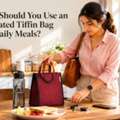 INR 299,  Why Should You Use An Insulated Tiffin Bag For Daily Meals?