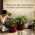 INR 379,  What Is The Best Round Planter For Indoor And Outdoor Plants?