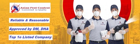 Al Barsha, Pest Control, # Pest Control &ndash; Quality & Approved
